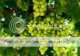 NewYearsGrapes1.jpg